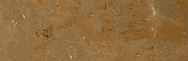 45029 Brick Terracota - Image 12